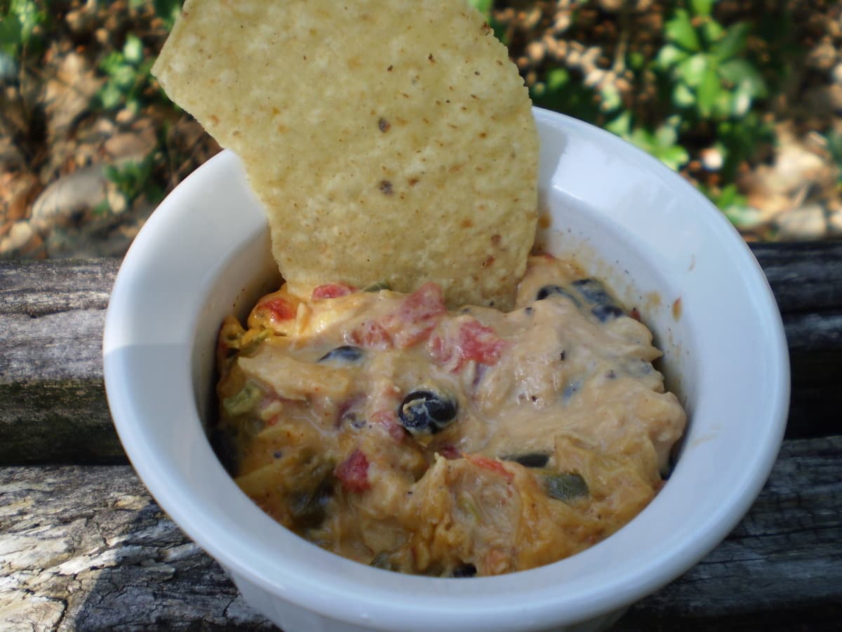 Outrageous Warm Chicken Nacho Dip