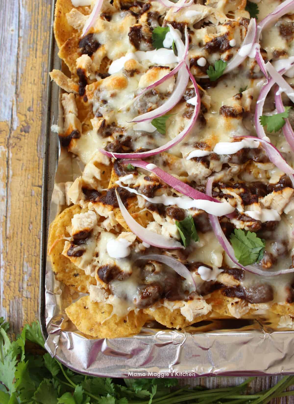 Chicken Mole Nachos