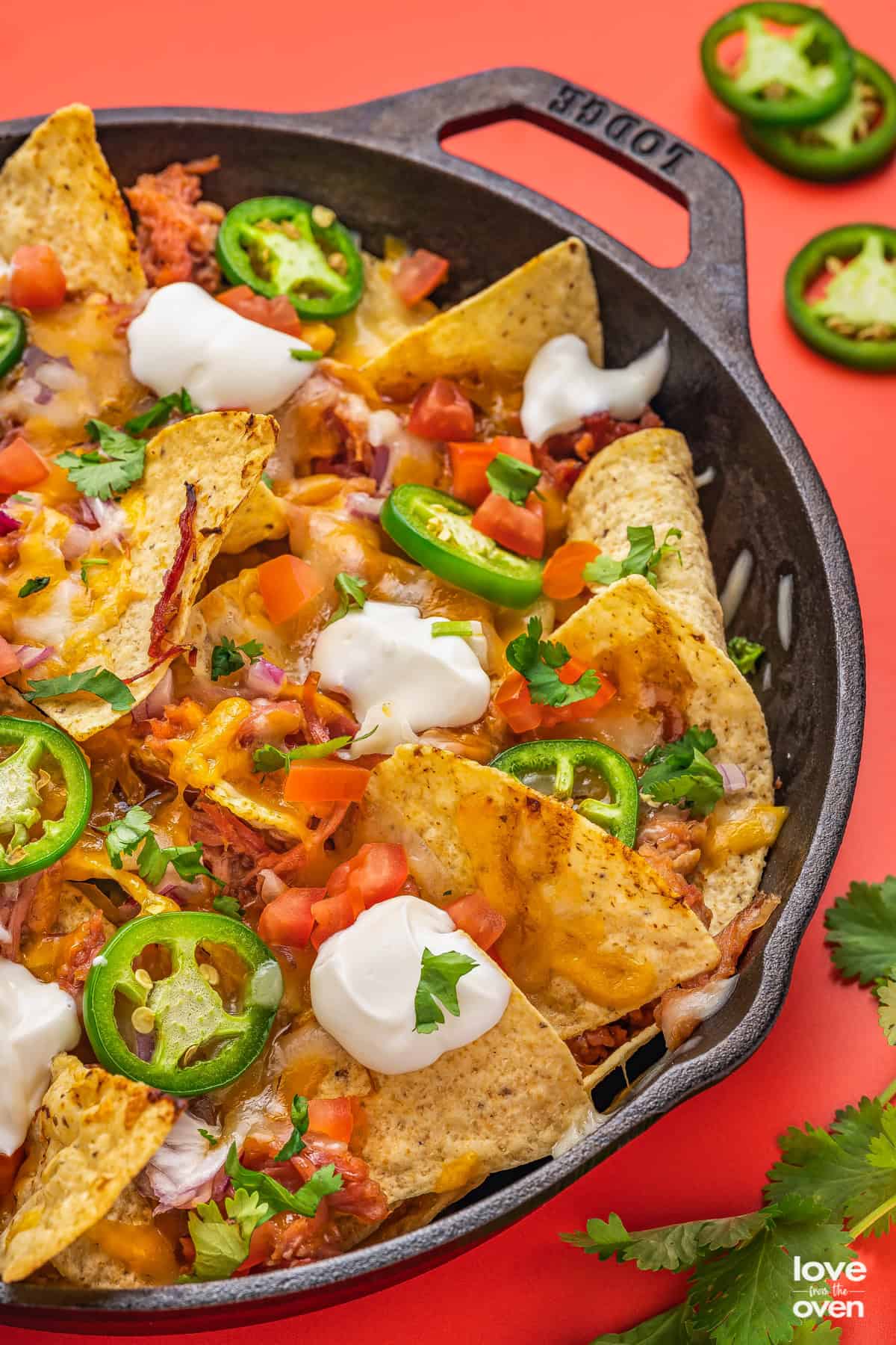 Pulled Pork Nachos