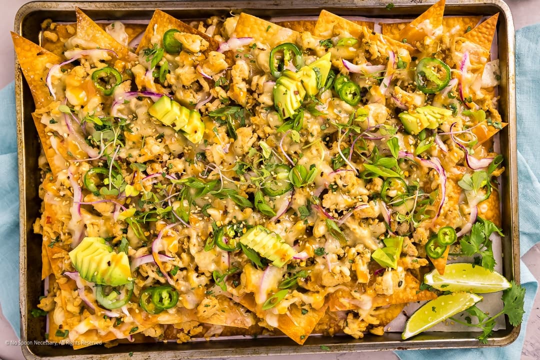 Wonton Nachos