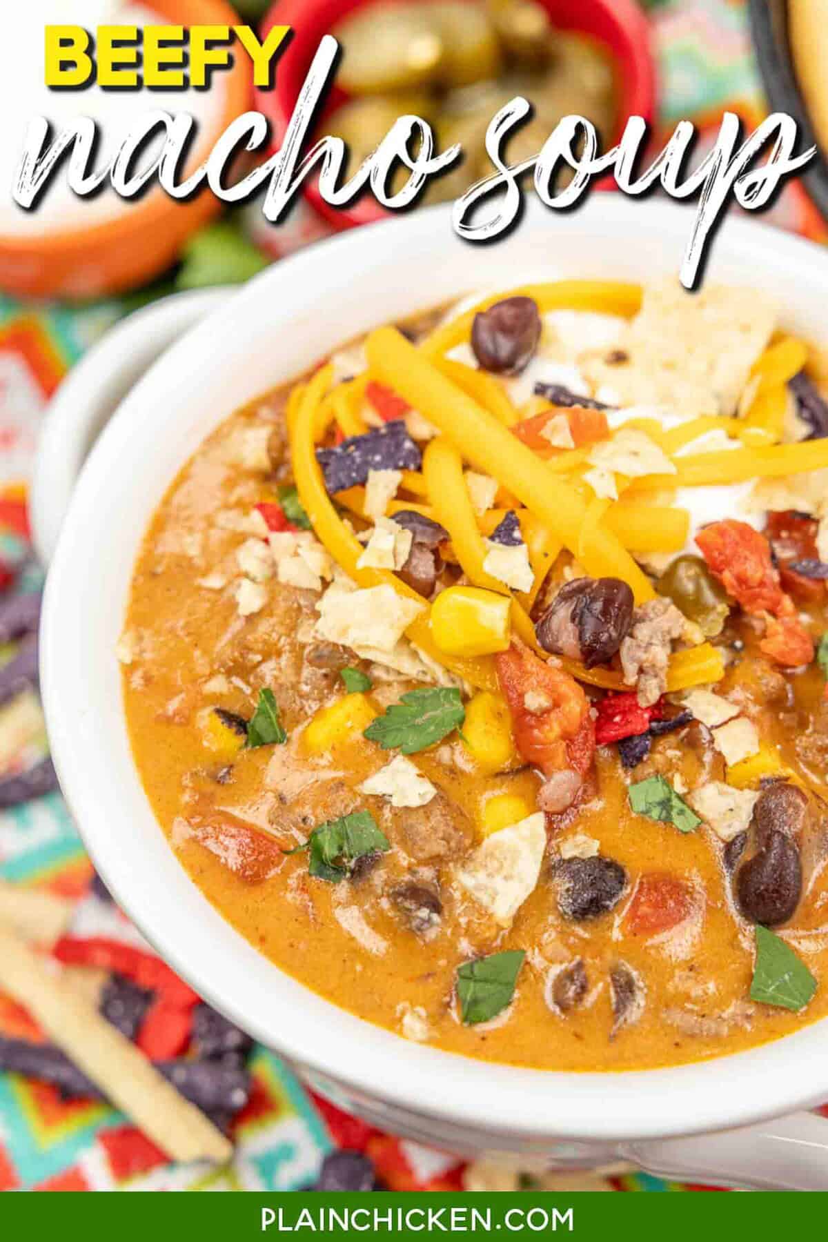 Beefy Nacho Soup